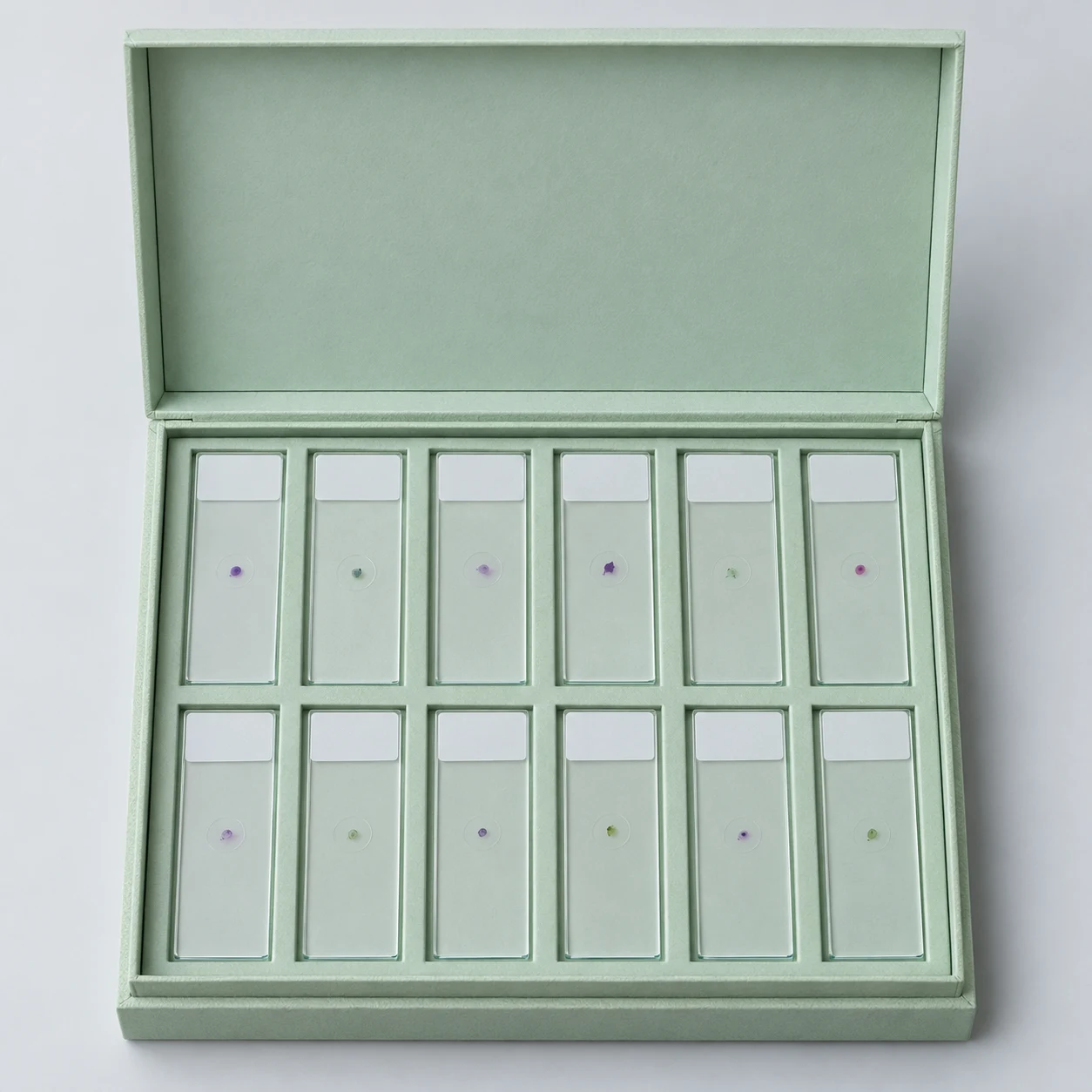 Plant slide study set